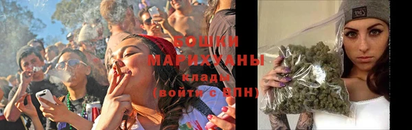 сатива Гусев