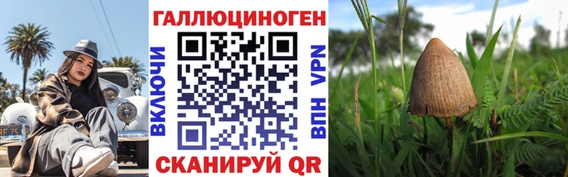 Галлюциногенные грибы мицелий  mega   Дальнегорск  что такое наркотик 